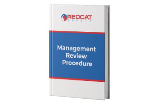 Management Review Procedure