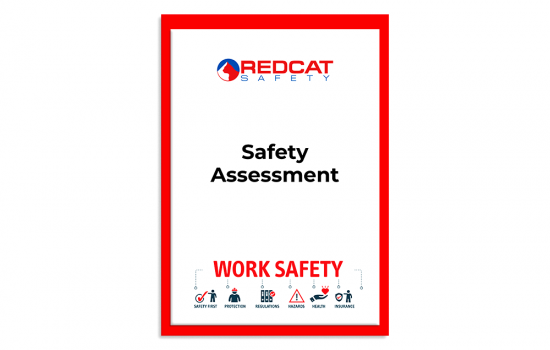 Safety Assessment