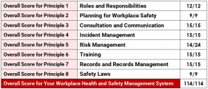 Workplace Health and Safety Assessment Summary
