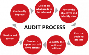 Annual Audit Process 