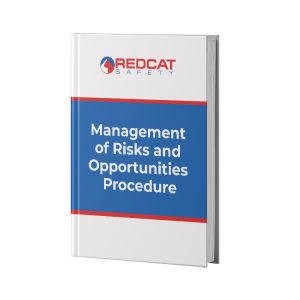 Management of Risks and Opportunities Procedure