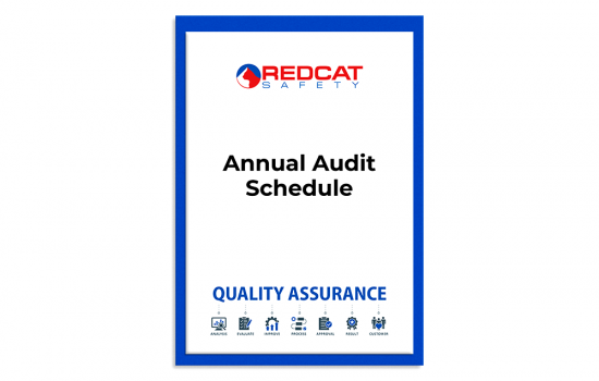 Annual Audit Schedule