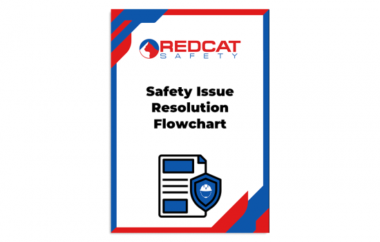 Safety Issue Resolution Flowchart