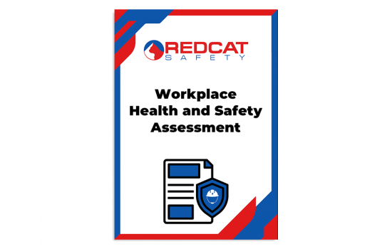 Workplace Health and Safety Assessment